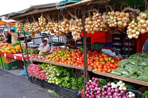 The Nicoya Blue Zone Lifestyle Of Longevity