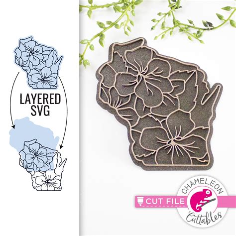 Wisconsin state flower SVG png dxf eps jpeg Chameleon Cuttables LLC ...