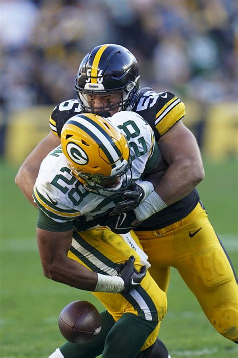 Steelers fend off Packers | News, Sports, Jobs - Tribune Chronicle