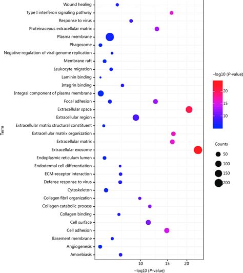 Go Functional And Kegg Pathway Enrichment Analyses Of 752 Degs Go