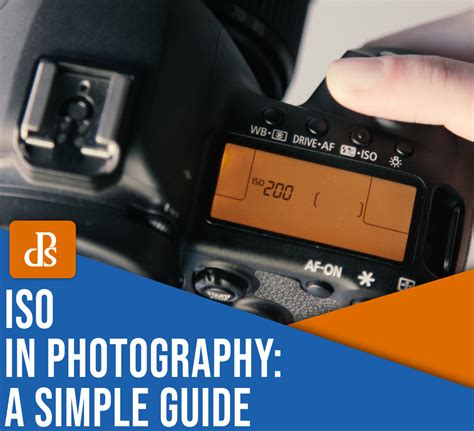 What Is ISO? A Simple Guide to ISO in Photography