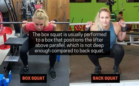 Box Squat vs Back Squat: Differences, Pros, Cons ...