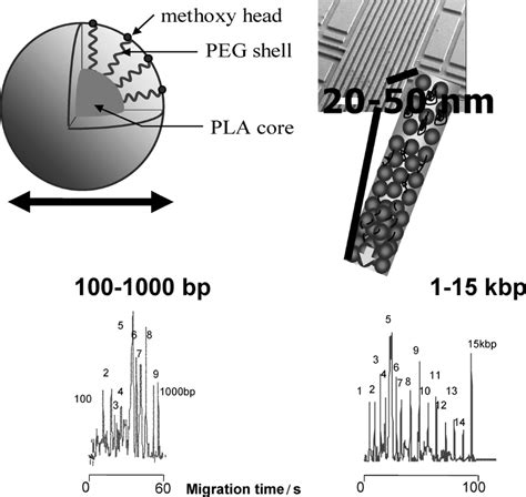 Nanoball Structure And Dna Separation By A Nanoball Solution In A