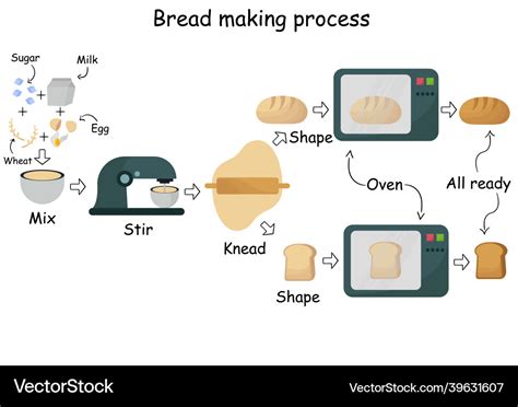 Stages Of Bread Making Royalty Free Vector Image