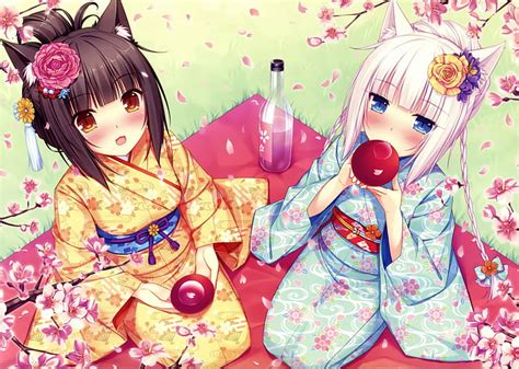 Chocola Nekopara 1080p 2k 4k 5k Hd Wallpapers Free Download