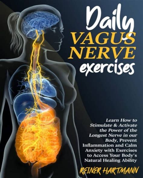 DAILY VAGUS NERVE EXERCISES: Learn How to Stimulate & Activate the Power of the Longest Nerve in ...