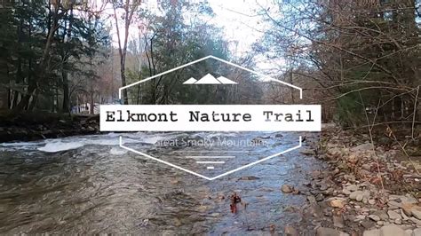 Elkmont Nature Trail Great Smoky Mountains Tn Youtube