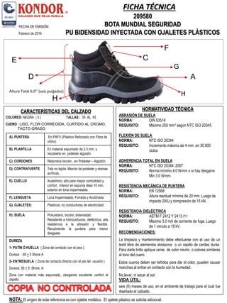 Calzado De Seguridad PDF