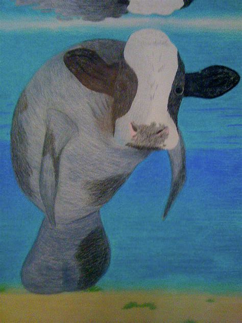 Sea Cow Drawing by Joe Richichi