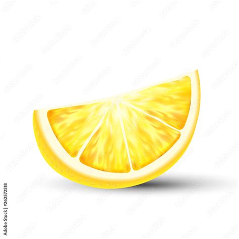 Fresh Juicy D Vector Lemon Slice Closeup Raw Lemon Piece Isolated