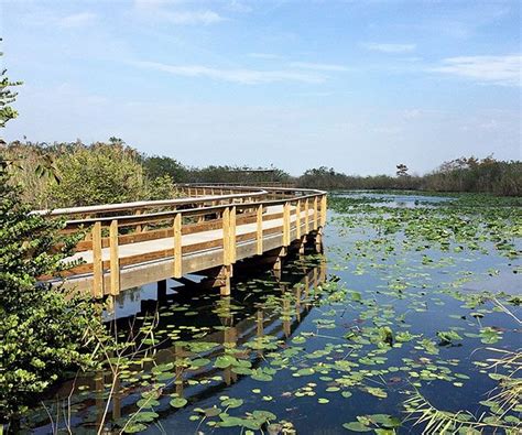 THE 15 BEST Things to Do in Everglades National Park (2025)