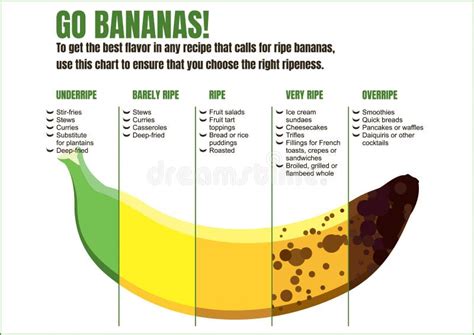 Banana Chart Ripe Stock Illustrations 56 Banana Chart Ripe Stock