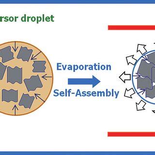 Schematic Illustration Of The Formation Of Crumpled Gr From Go Via