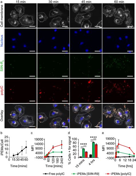 Figure 2 From Self Assembly Of Immune Signals Improves Codelivery To