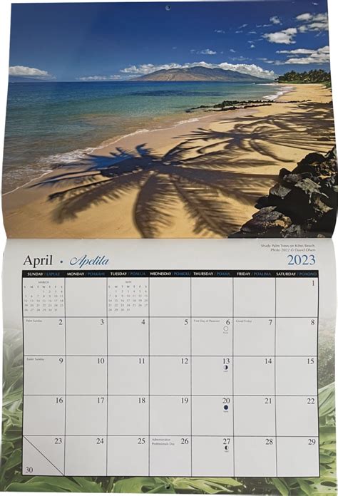 Maui Events Calendar June 2024 Korry Rachelle