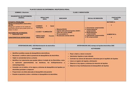 Pae Insuficiencia Renal Enfermeria Mi Pasi N Oficial Udocz