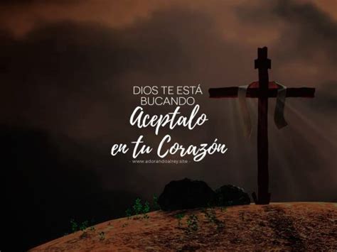 ¿quieres Conocer A Jesús Esta Guía Es Ideal Para Ti ️ Adorando Al Rey