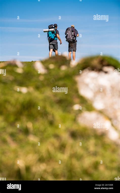 Pilgrims With Backpack Walking The Camino De Santiago In Pays Basque