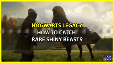 How To Catch Shiny Beasts In Hogwarts Legacy Gamer Tweak