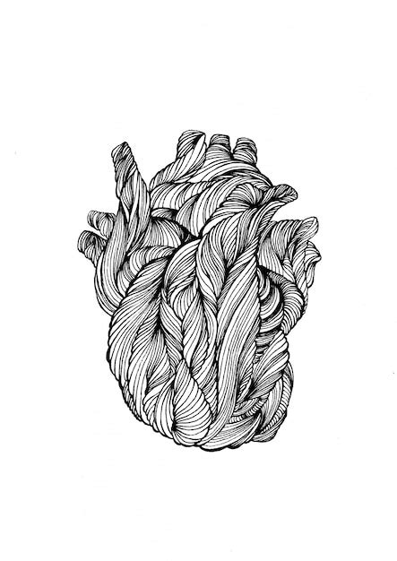 Premium Vector Hand Drawn Doodle Human Heart Line Heart For Tattoo