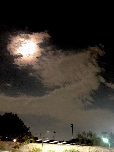 Dino Cloud At Night Rpareidolia