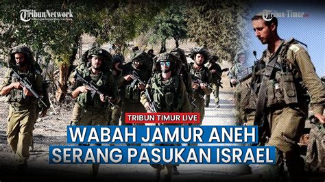 Israel Mulai Krisis Pangan Akibat Konflik Di Laut Merah Hingga IDF