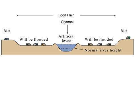 Artificial Levee Diagram