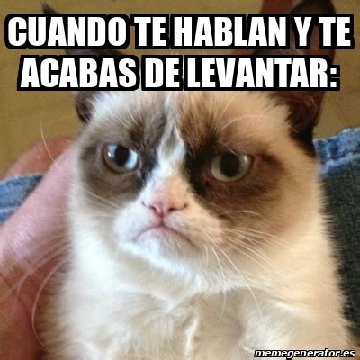 Meme Grumpy Cat Cuando Te Hablan Y Te Acabas De Levantar