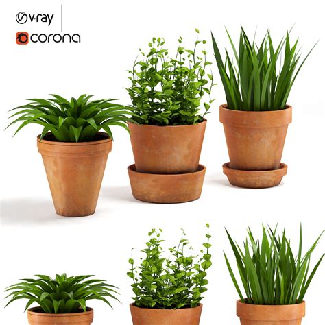 Terracotta Pots & Plants - FlippedNormals