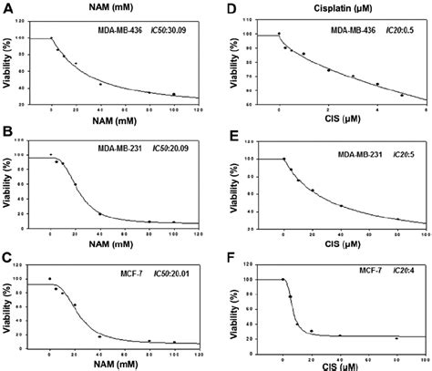 Growth Inhibition By Nicotinamide And Cisplatin Mda Mb 436 Mda Mb 231