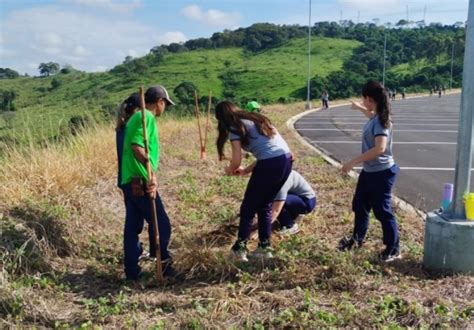 Jornal da Franca Santuário de Cássia plantio de árvores vai dar