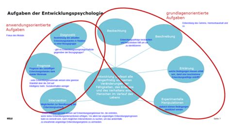 1 Entwicklungspsychologie Flashcards Quizlet