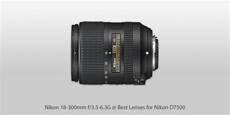 7 Best Lenses for Nikon D7500 in 2024