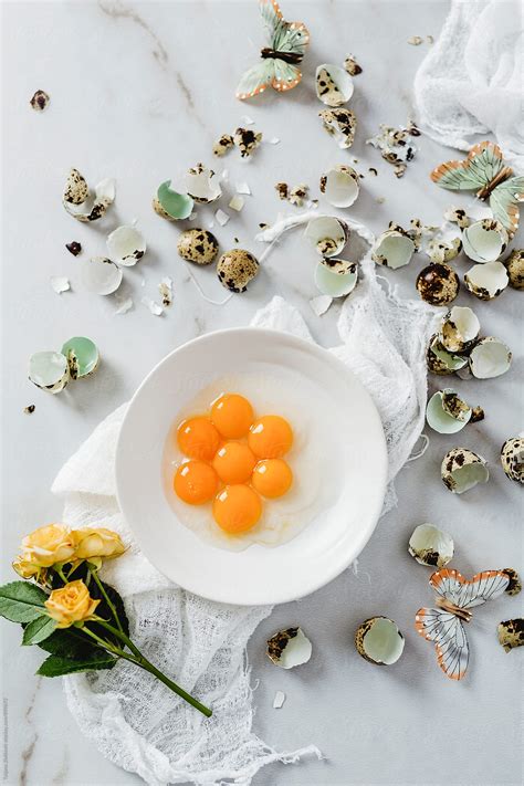 Quail Eggs Butterflies And Flower By Stocksy Contributor Tatjana Zlatkovic Stocksy