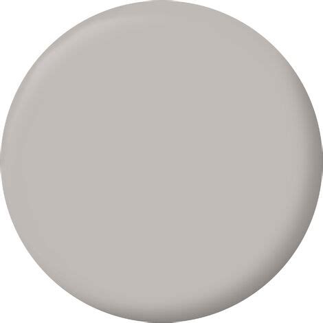 Peinture Murale Toutes Pièces Satin 0 5L Gris Lumière Ripolin