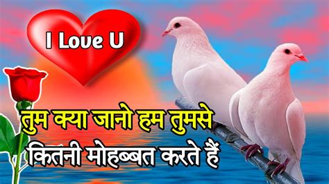 Ham Tumse 🌹kitni Mohabbat Karte Hain Love Shayari In Hindi Pyar