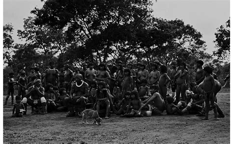 Museu Arqueol Gico Do Carste Nu Xingu