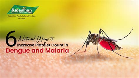 6 Natural Ways To Increase Platelet Count In Dengue And Malaria