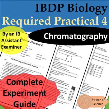 IB Biology Required Practical 4 Chromatography IBDP Lab