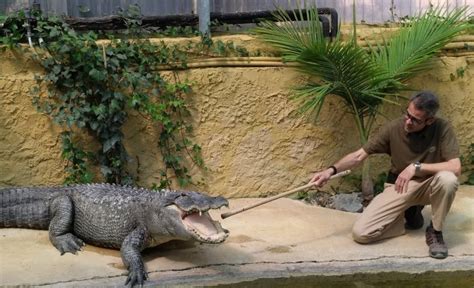 Las Mejores Atracciones Para Niños En La Costa Del Sol