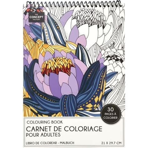 Livre De Coloriage 30 Pages Adulte 21x29cm Blanc Paris Prix