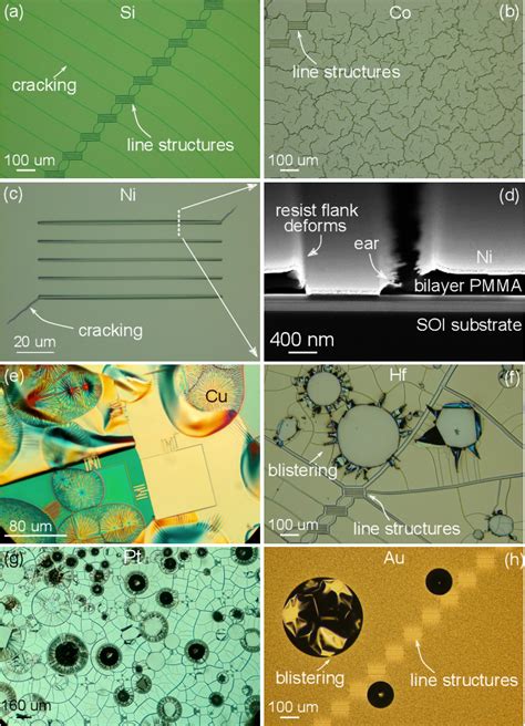 Figure From Role Of Electron And Ion Irradiation In A Reliable Lift