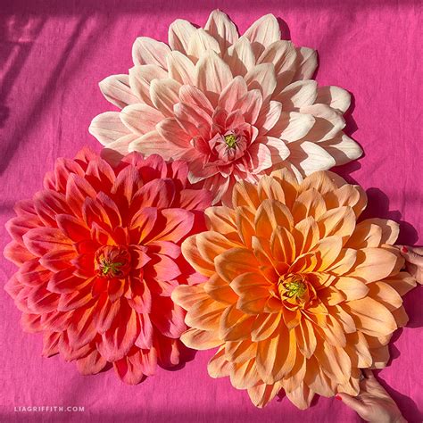 Crepe Paper Jumbo Dahlia Member Make Workshop Lia Griffith