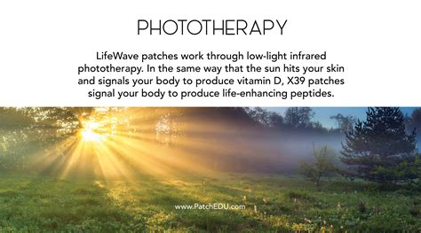 Patch Technology Education – PatchEDU