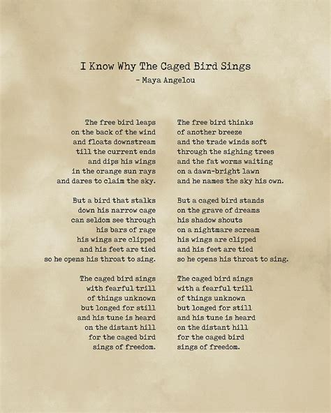 I Know Why The Caged Bird Sings Maya Angelou