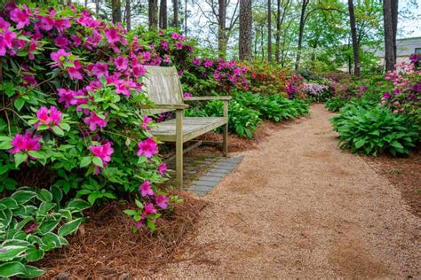 11 Easiest And Most Beautiful Flowering Shrubs For Zones