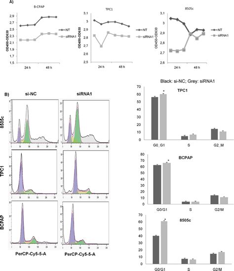 Knockdown Of Lucat1 Inhibited Cell Proliferation And Induced A Cell