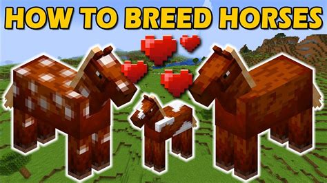 How To Breed Horses In Minecraft Master The Art Media Watch