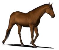 Horse Running Animation Gif