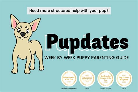 Why Does My Puppy Hump? And How Do I Stop It? - Rebarkable